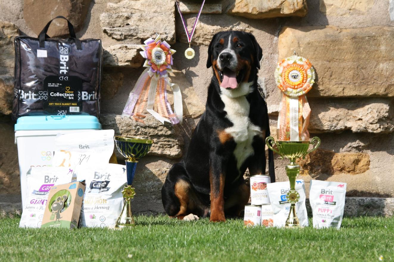 GOODSPEED from Swiss Star